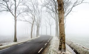 Winter, De Weg, Scène, Sneeuw, Koud, Natuur, Vorst